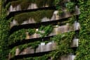 Sustainable building with vertical garden protecting from the sun and controlling inside temperature.