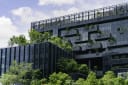 Green building with vertical garden