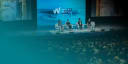 WLS stage