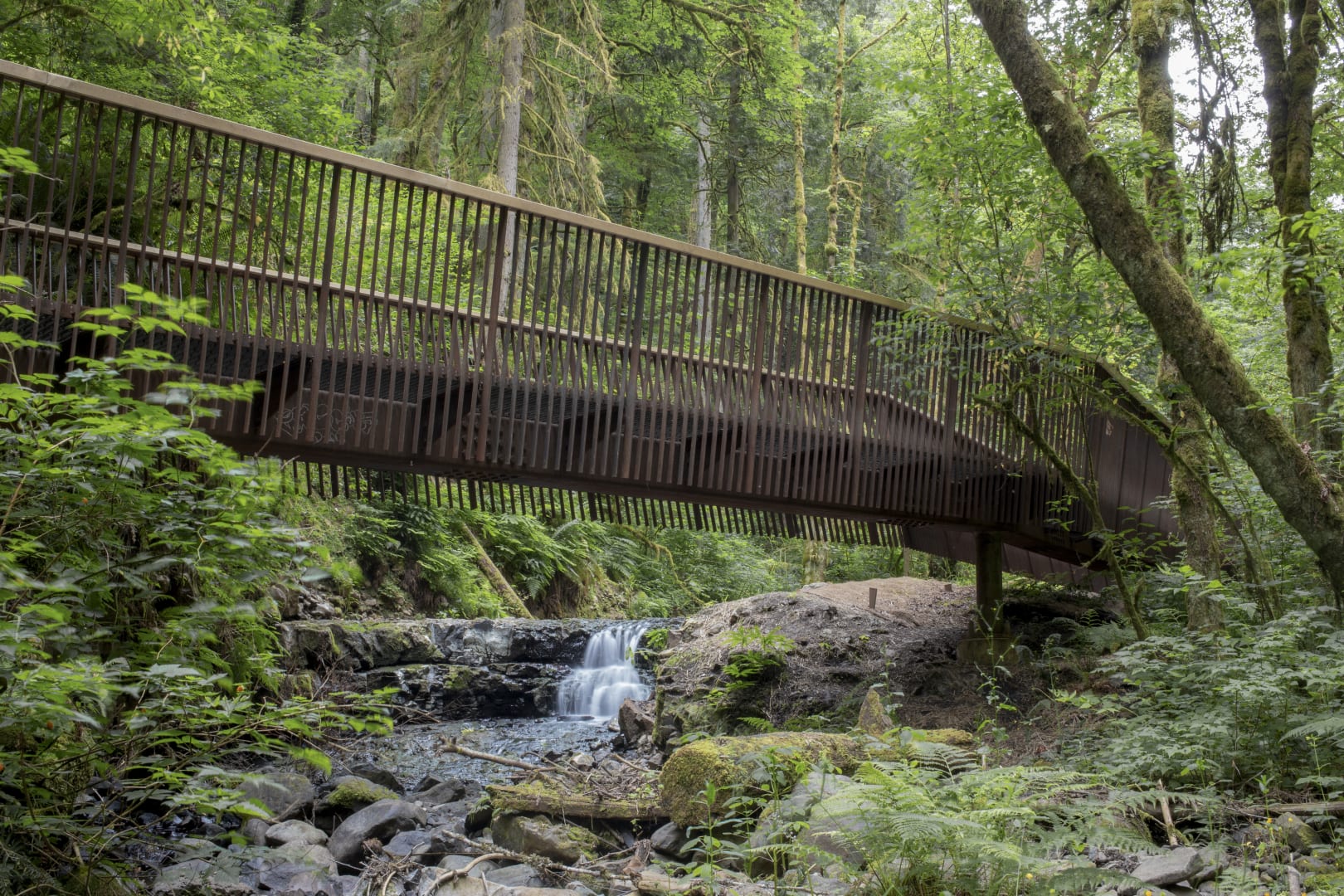 Forest Park Bridges Aia