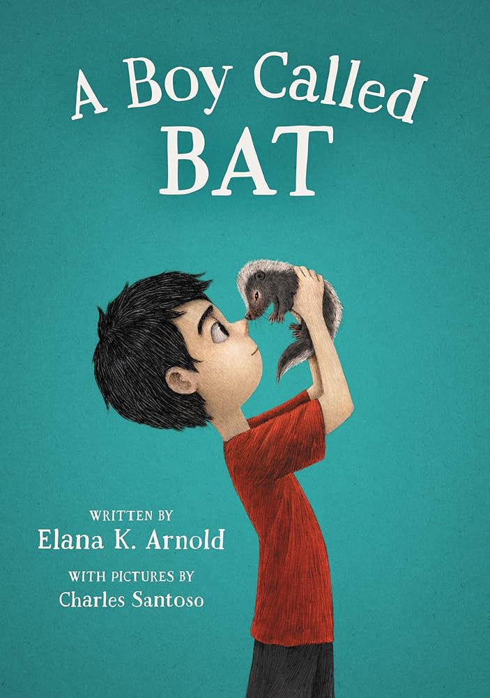 Cover of A Boy Called Bat