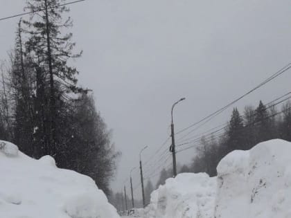 Вдоль улицы Выставочной в Ижевске в сугробах «прорезали» тропинки, позволяющие добраться до 1 РКБ