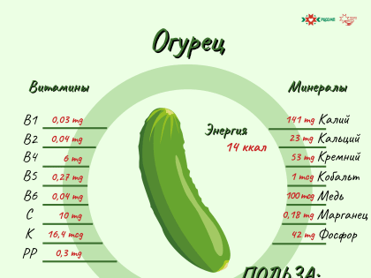 8 – 14 апреля Неделя подсчета калорий.