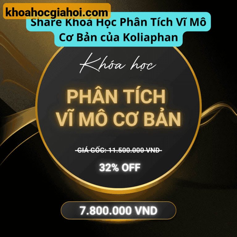 Khoá Học Phân Tích Vĩ Mô Cơ Bản Của Koliaphan