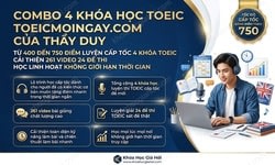 Combo 4 Khóa Học Toeic – Toeicmoingay.com