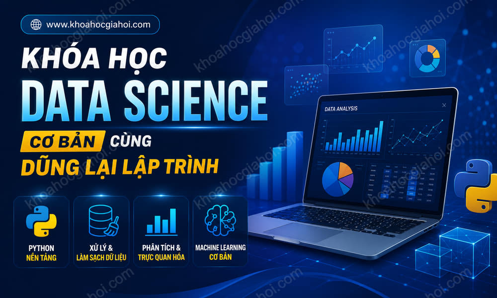 Khóa Học Data Science Cơ Bản Cùng Dũng Lại Lập Trình