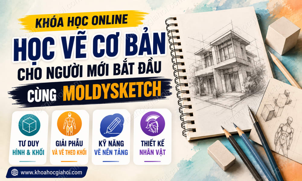 Khóa Học Online Học Vẽ Cơ Bản Cho Người Mới Bắt Đầu Cùng Moldysketch