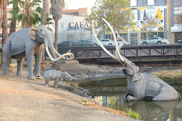 La Brea Tar Pits & Museum