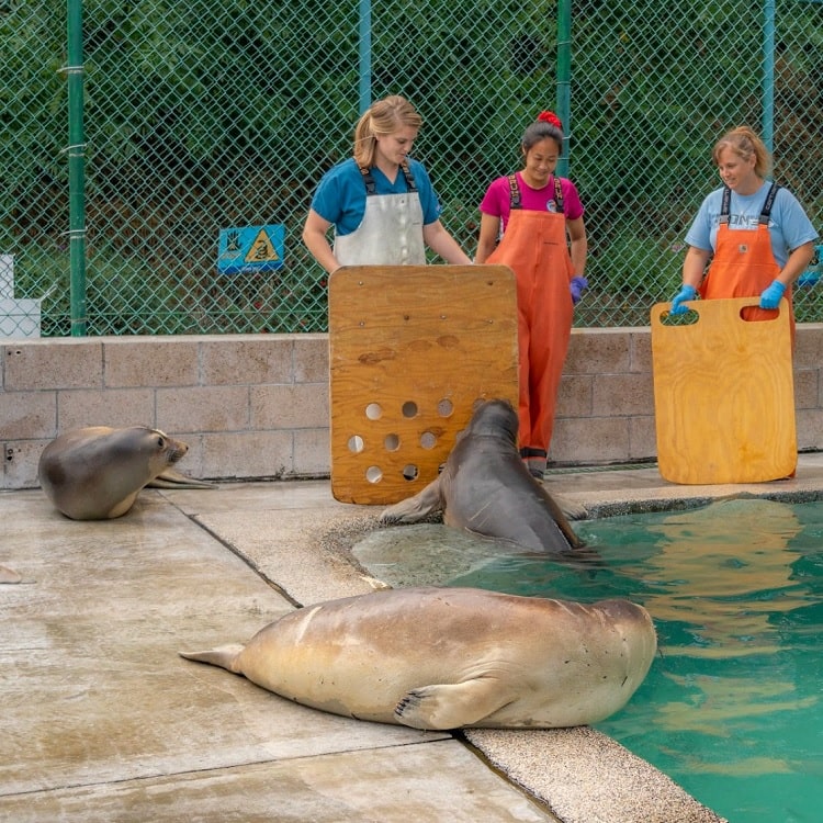 Marine Mammal Care Center