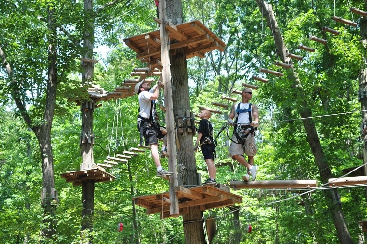 Treetop Adventure Park