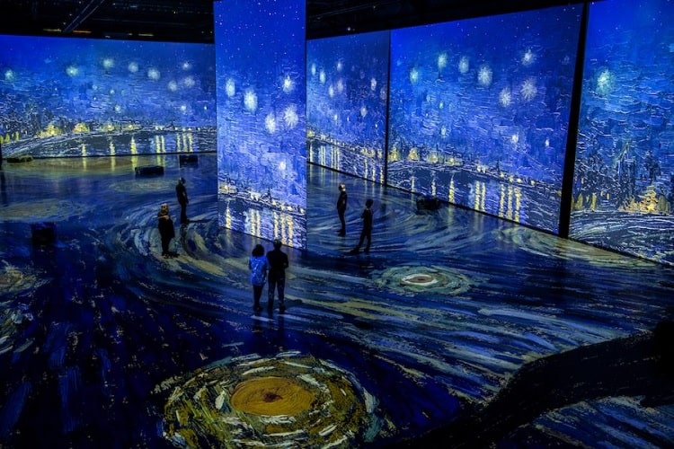  The Van Gogh Exhibit