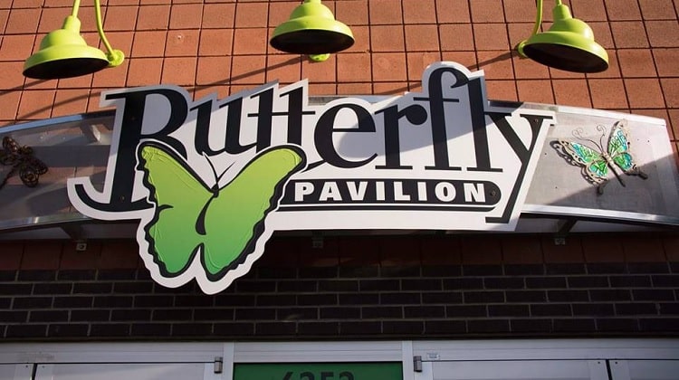 Butterfly Pavilion