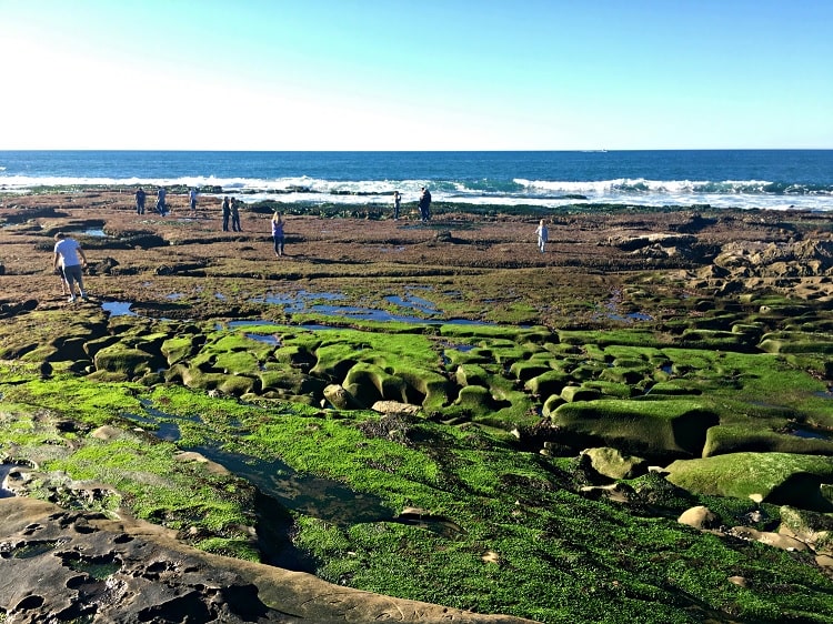 La Jolla Shores and Tide Pools