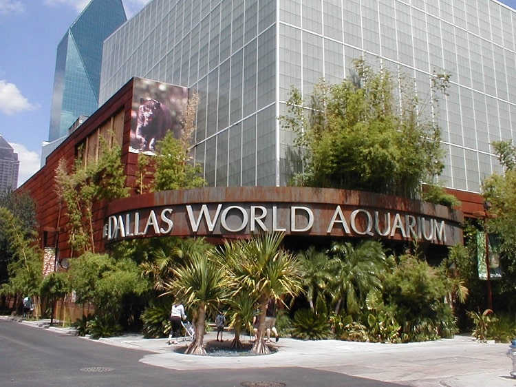 The Dallas World Aquarium