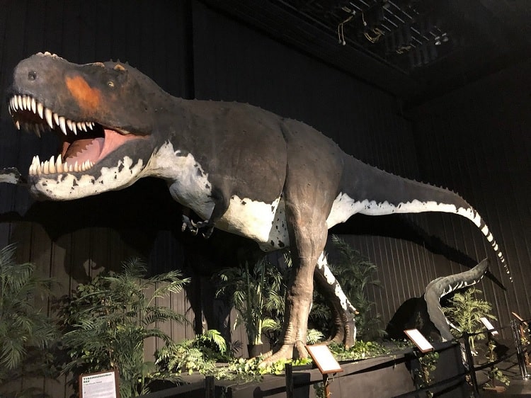 Dinosaur Museum- Downtown