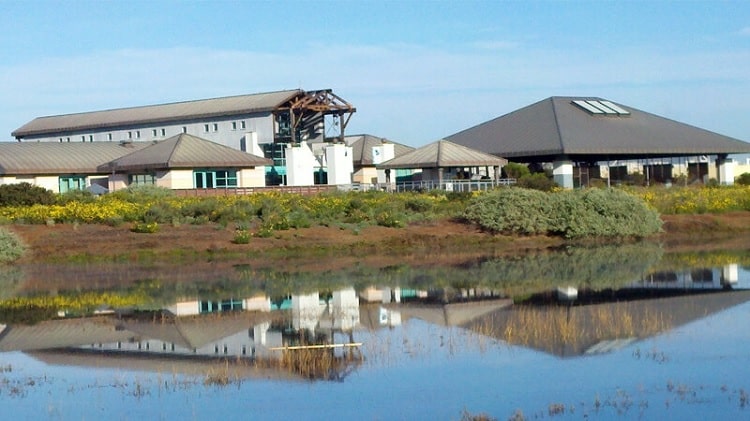 Living Coast Discovery center