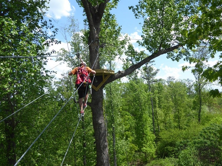 ZipLine & Aerial Adventures — Marshland