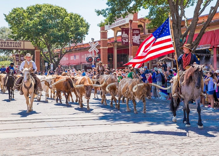 Fort Worth Herd