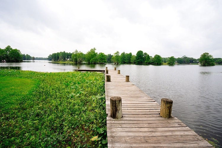  Lettuce Lake Regional Park