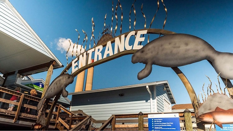 Tampa Electric Manatee Viewing Center