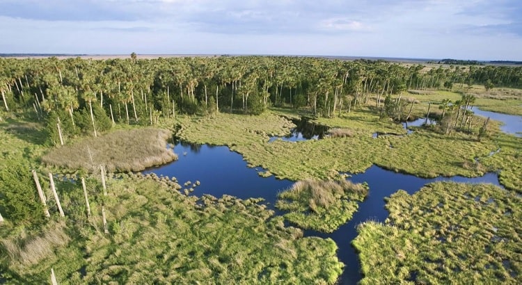 Everglades National Park