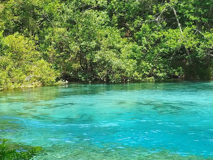 Ichetucknee Springs State Park