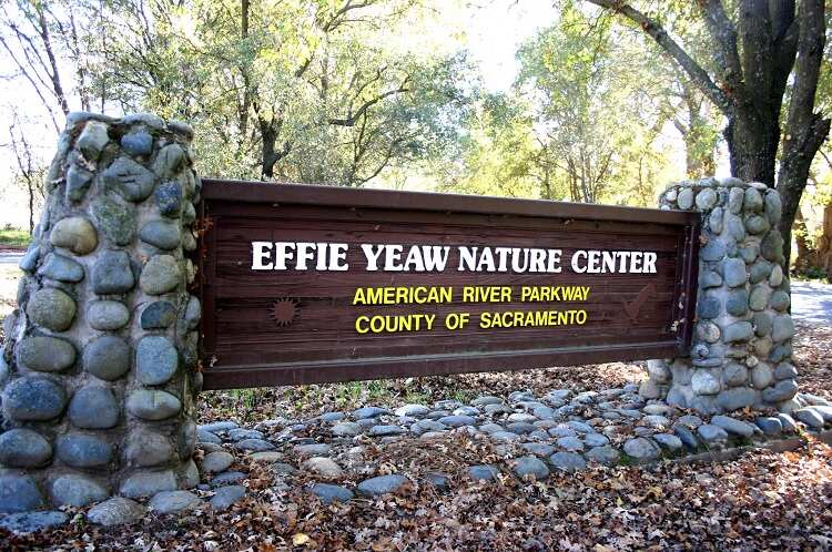 Effie Yeaw Nature Center