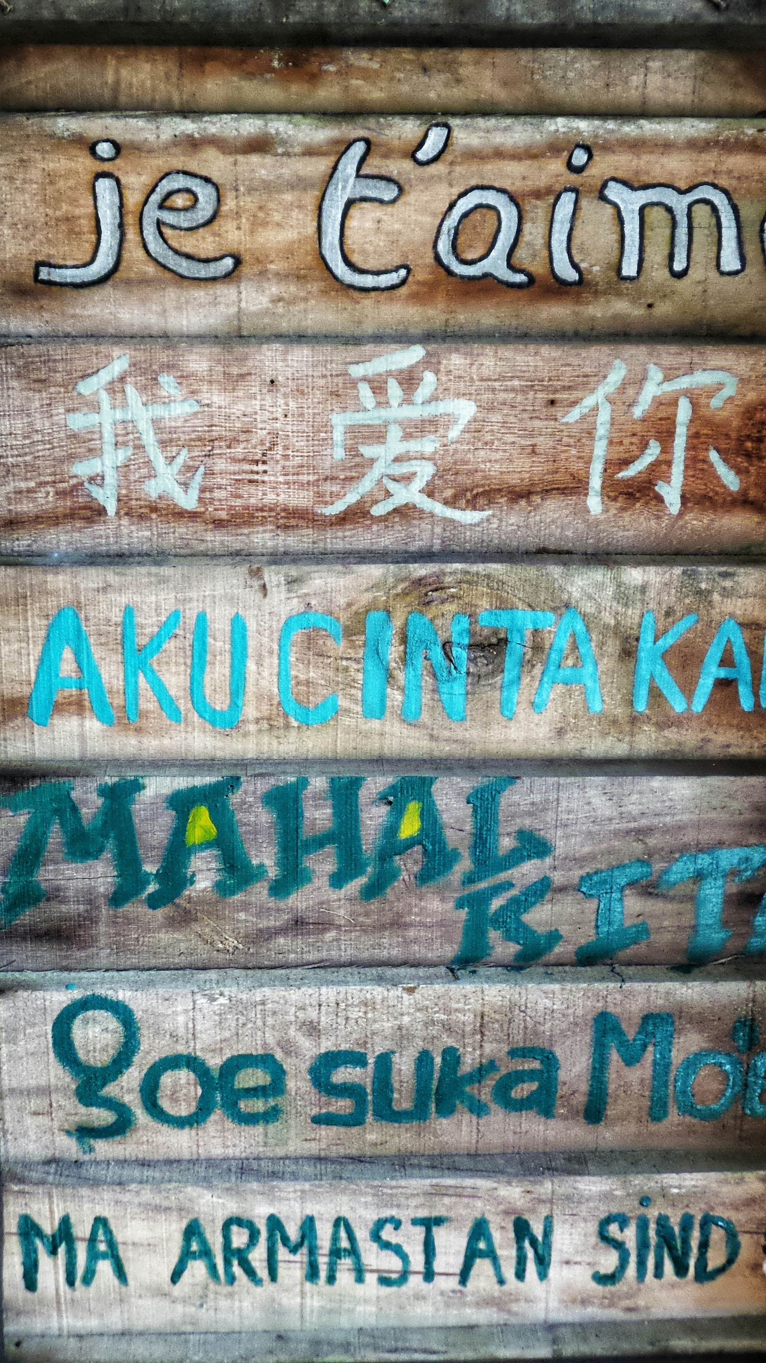 Foreign Languages