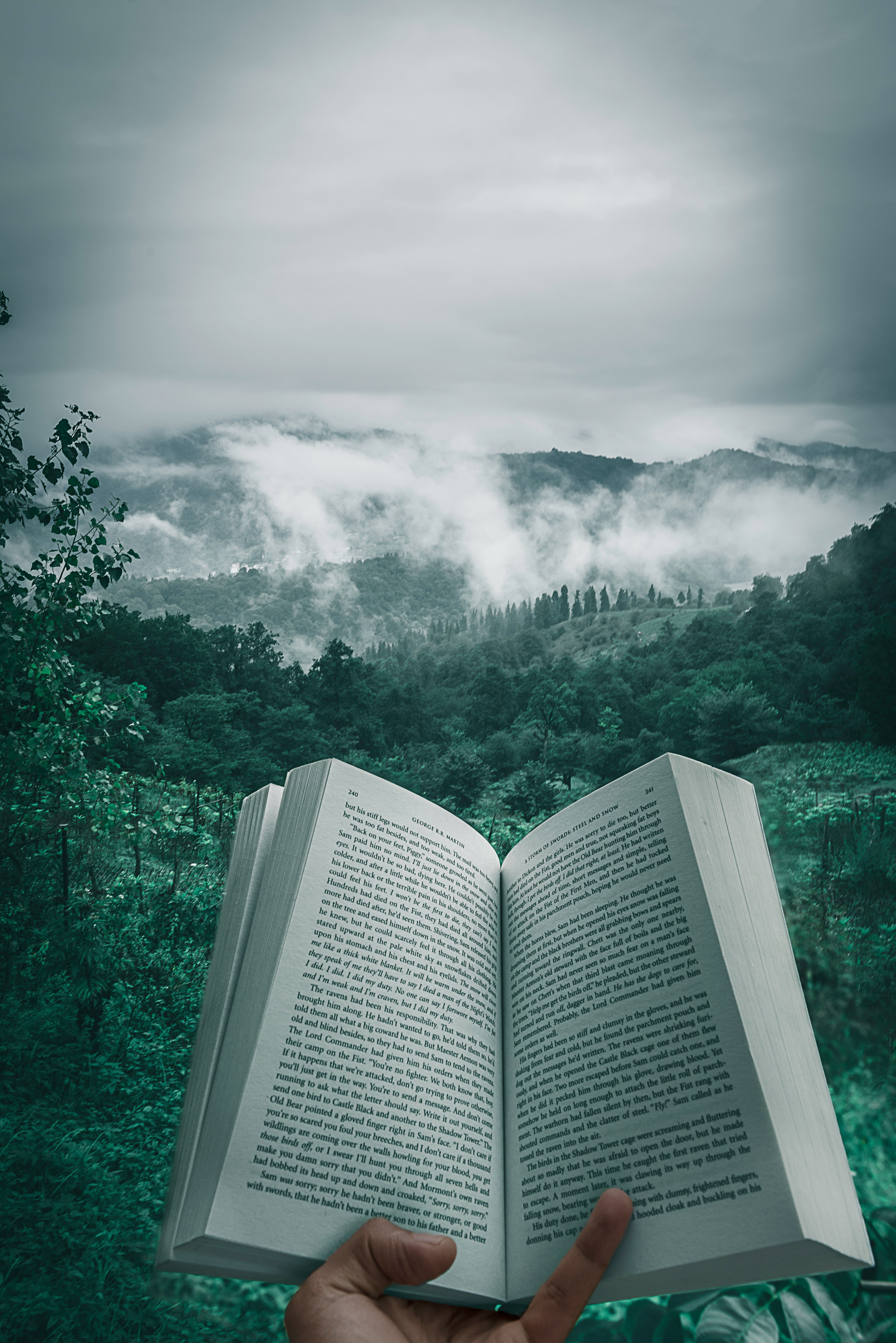 Fiction Novels