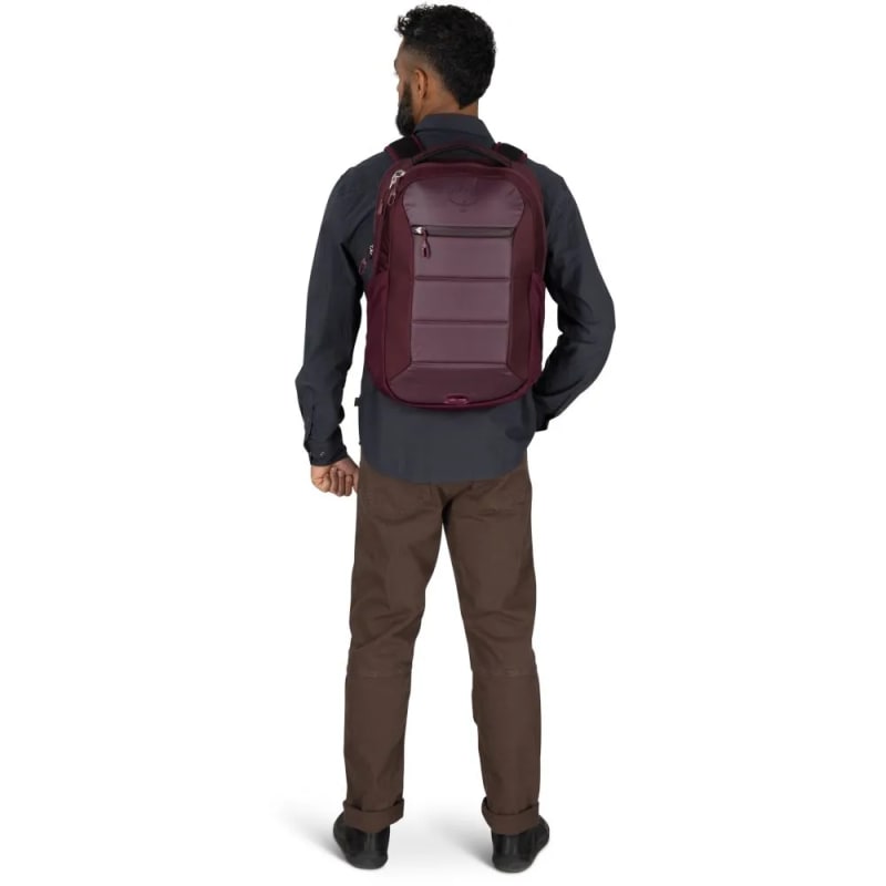 Рюкзак Osprey Ozone Laptop Backpack — moody burgundy