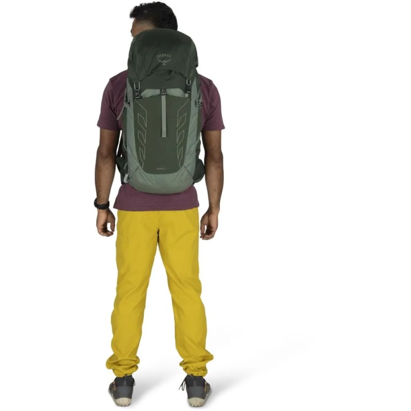 Рюкзак Osprey Talon 33 — Green canopy pine leaf