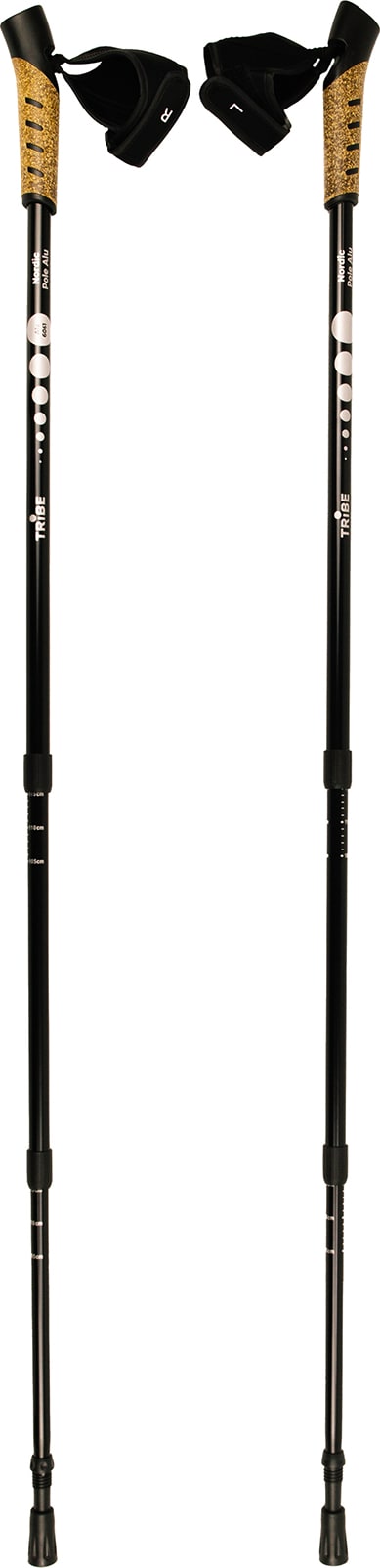 Палиці для скандинавської ходьби Tribe Nordic Pole Alu, Білий