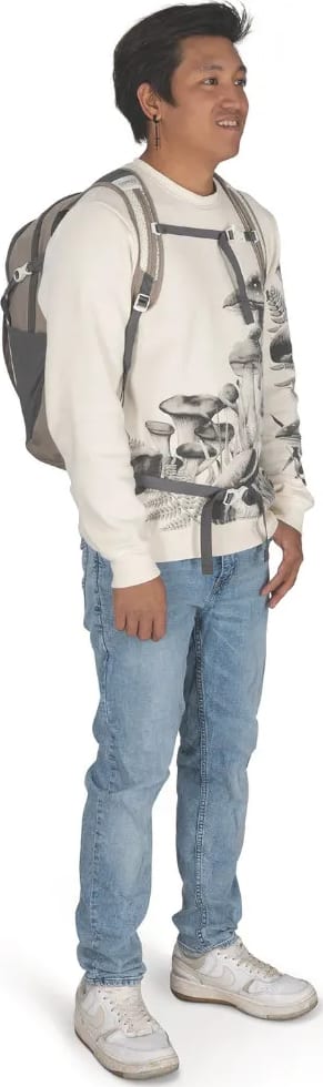 Рюкзак Osprey Daylite Plus — Mystery White Multi — фото 3
