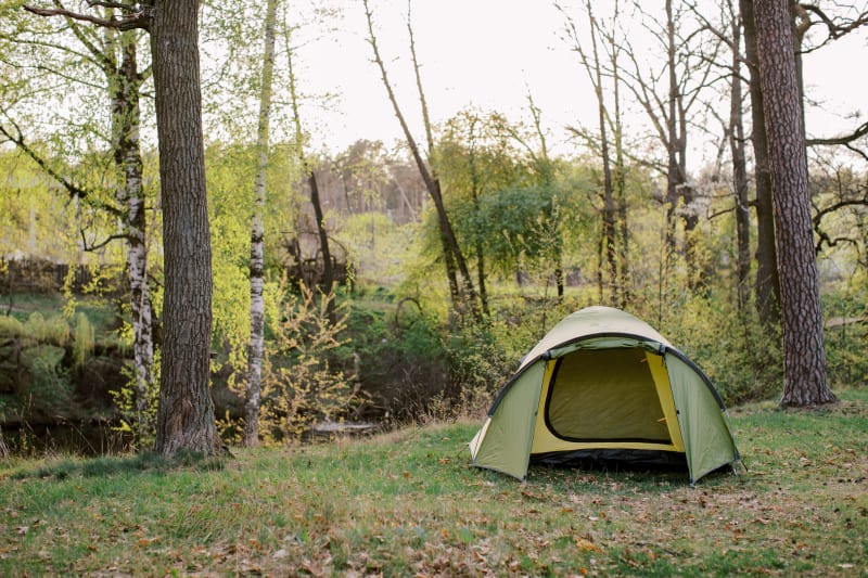 Намет Tramp Lite Camp 3 (тримісний), Олива – фото 3