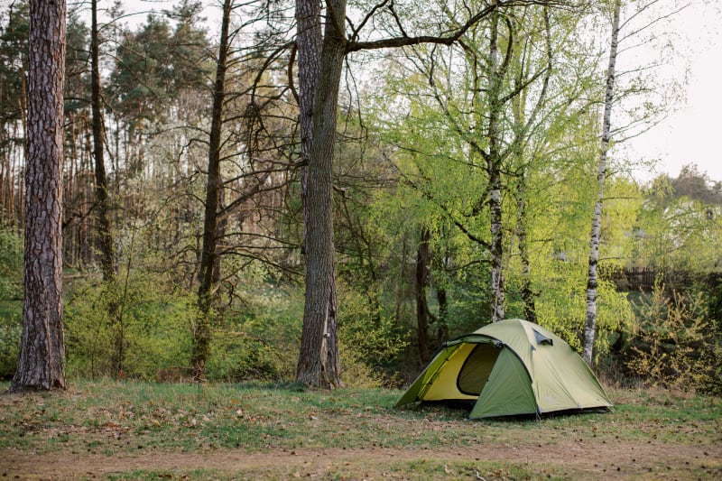 Намет Tramp Lite Camp 3 (тримісний), Олива – фото 4