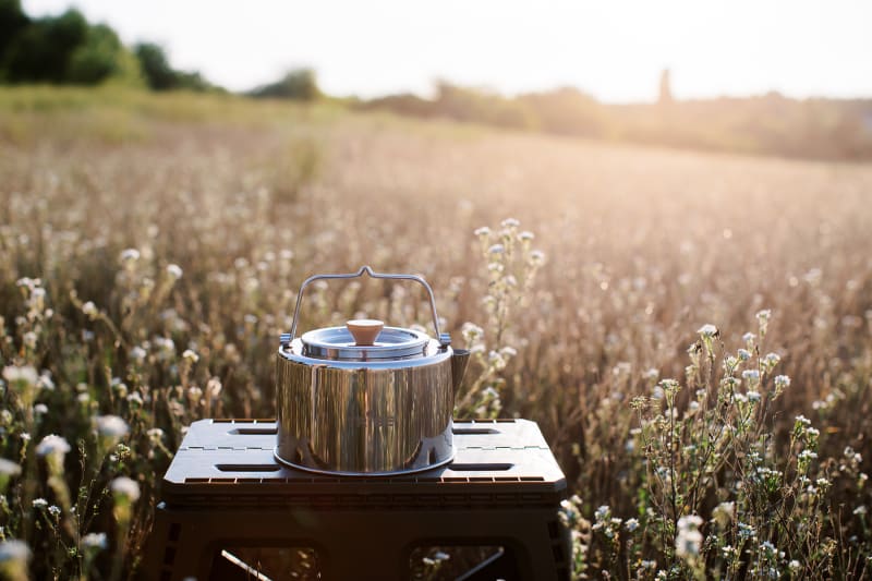 Чайник Tribe Kettle 1,2 л, Сріблястий – фото 2