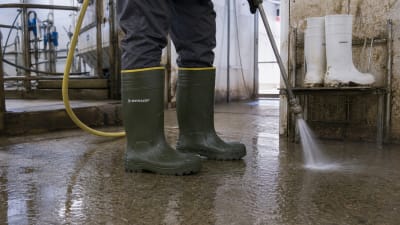 Гумові черевики Dunlop: у чому реальна перевага і кому вони підходять