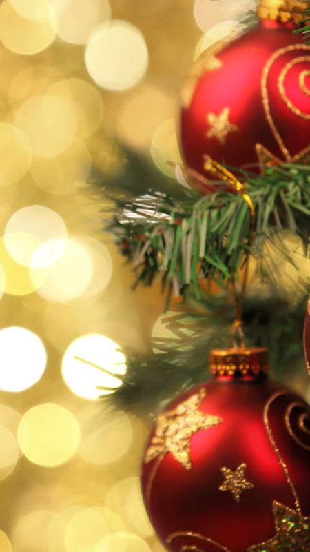 Elite Youth Talk & Christmas Party