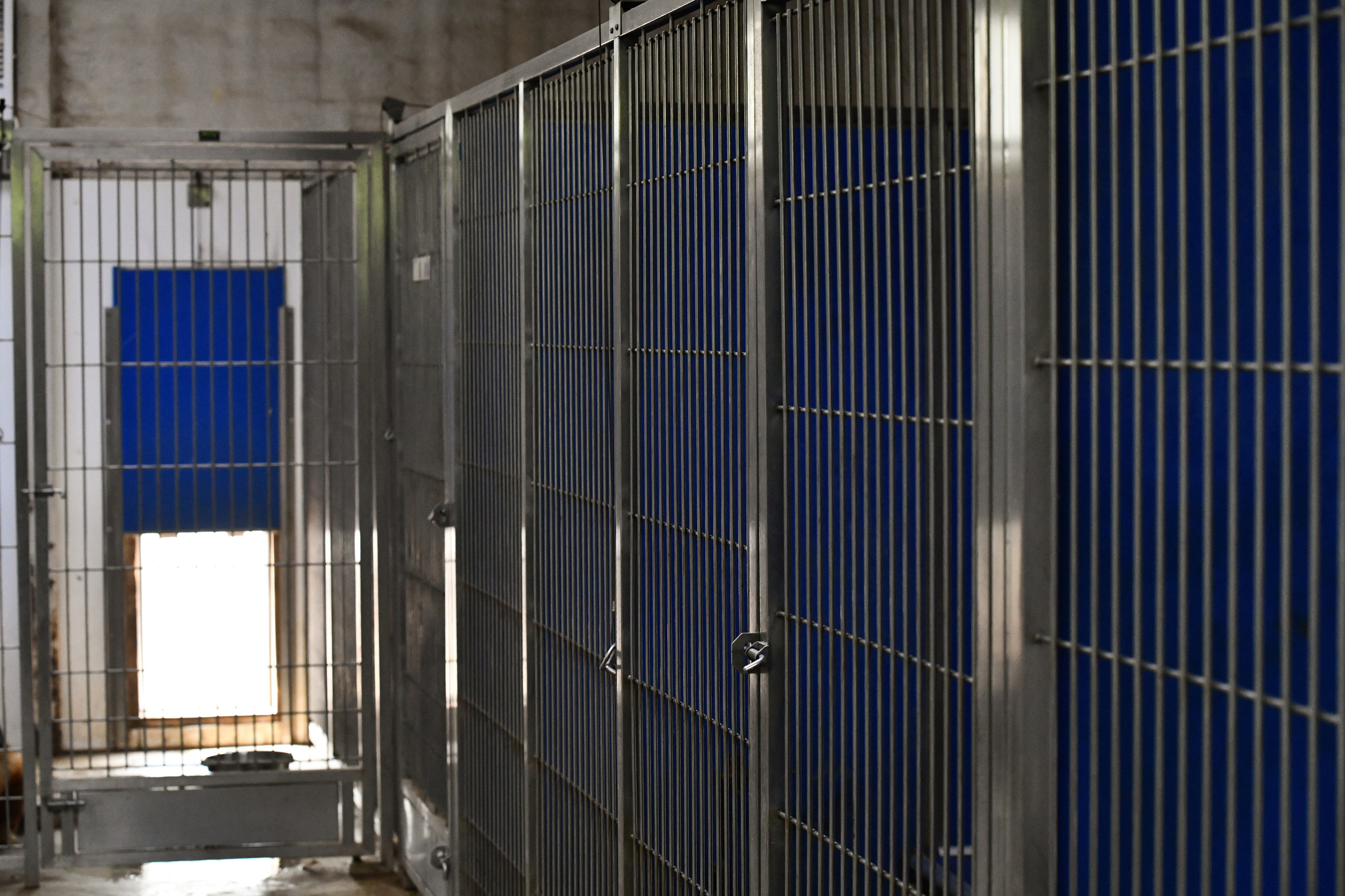 Kennel runs — detail