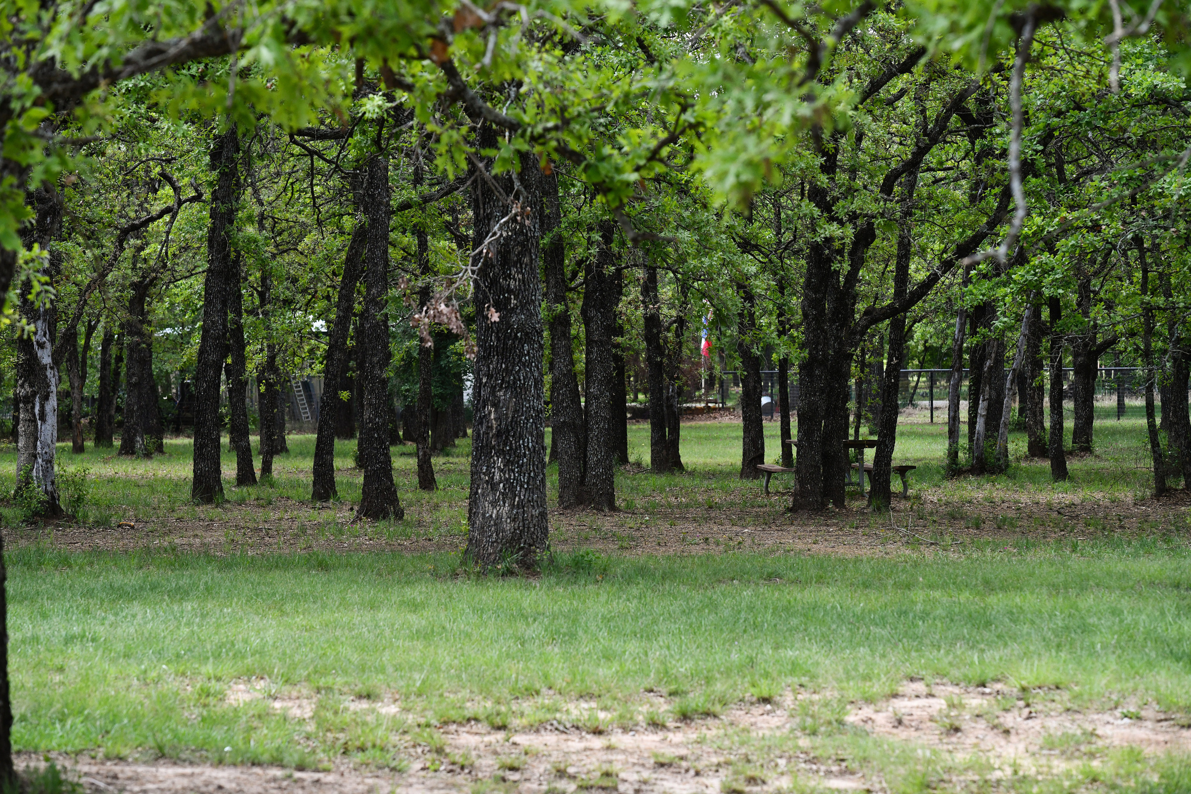 The six fenced acres