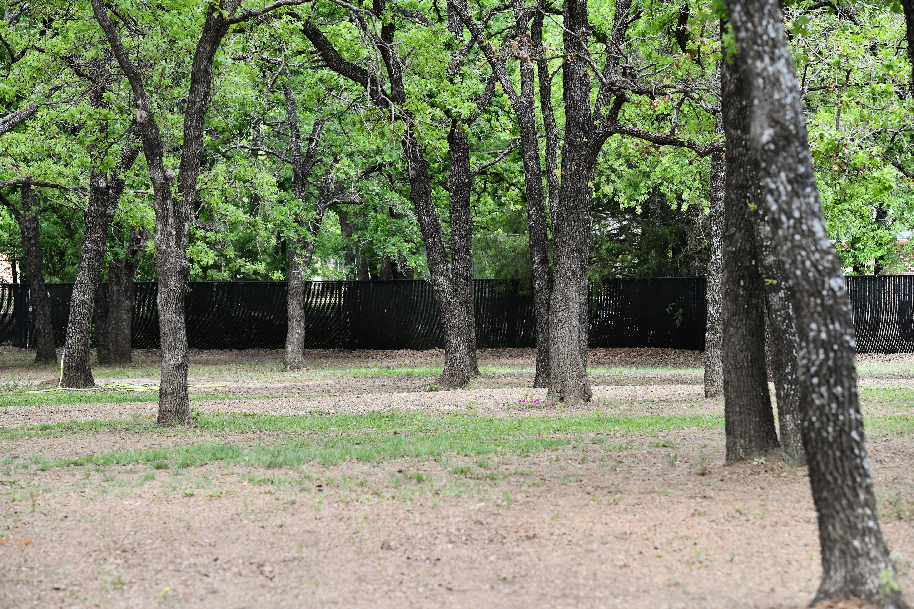 Wooded acres on the property