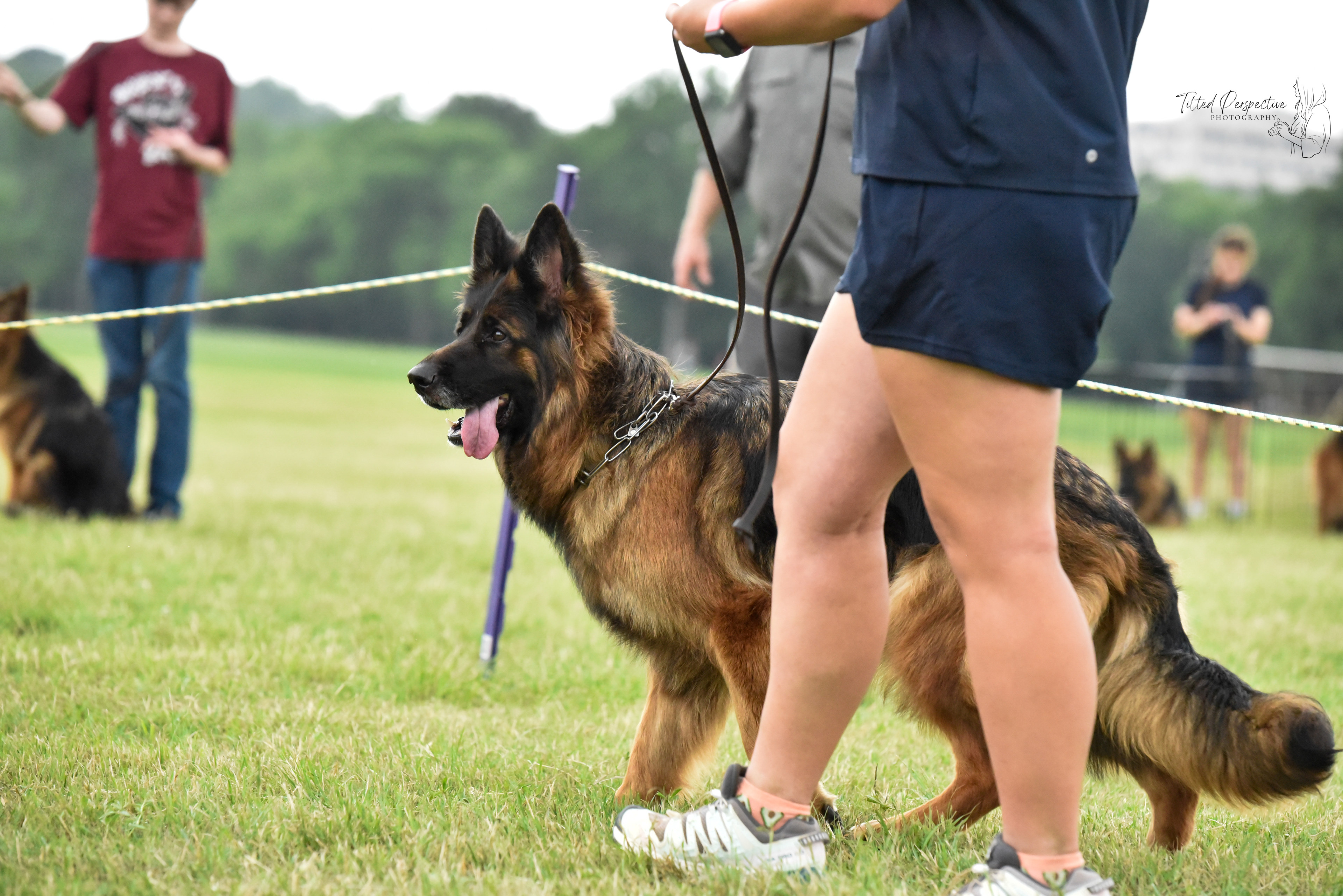 Kaiser GSD focus and drive