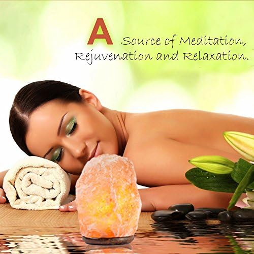 Vue 6 de Hemingweigh Lampe En Sel