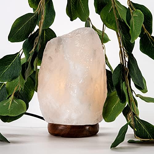 Vue 3 de Superbutelkipl Lampe De Sel