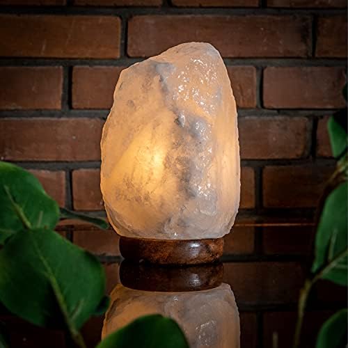 Vue 6 de Superbutelkipl Lampe De Sel