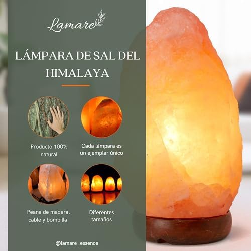 Vue 2 de Lampe Au Sel De