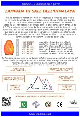Vue 3 de Himalayan Salt Lampe De