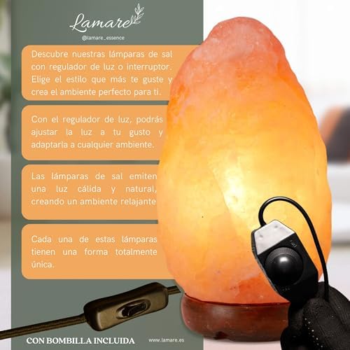 Vue 4 de Lampe Au Sel De