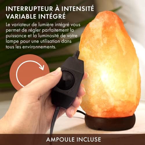 Vue 3 de The Body Source Lampe
