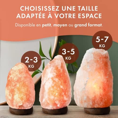 Vue 5 de The Body Source Lampe